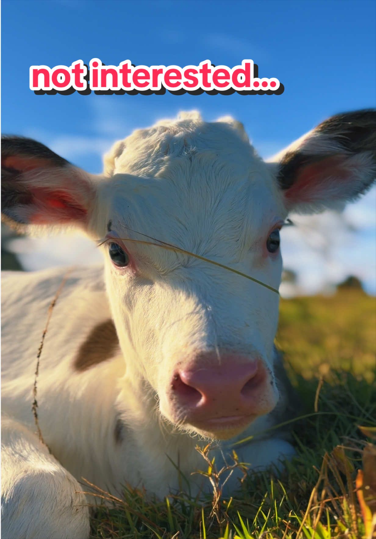 @Big Farmer Andy