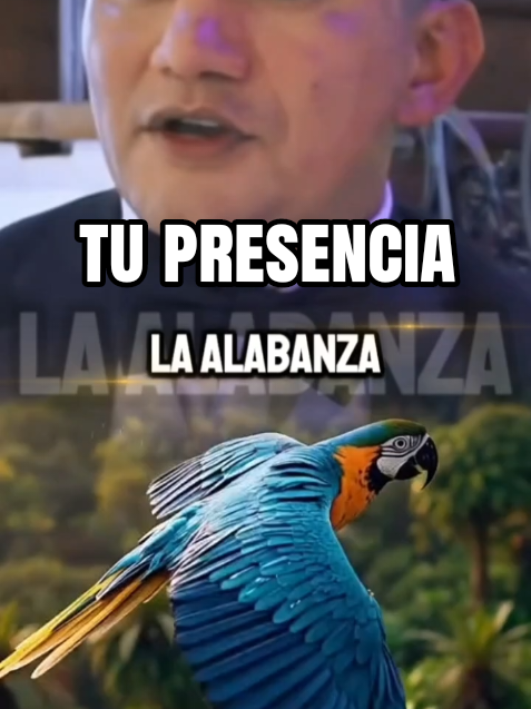 @Herminia González.