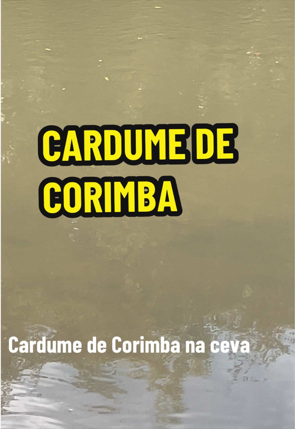 @Gabriel na pesca 🎣