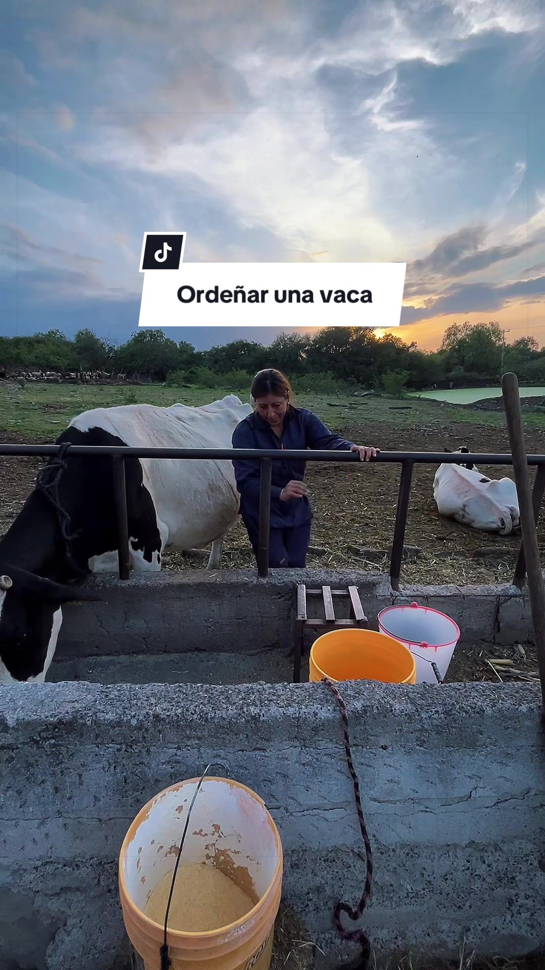 @Martín Alonso