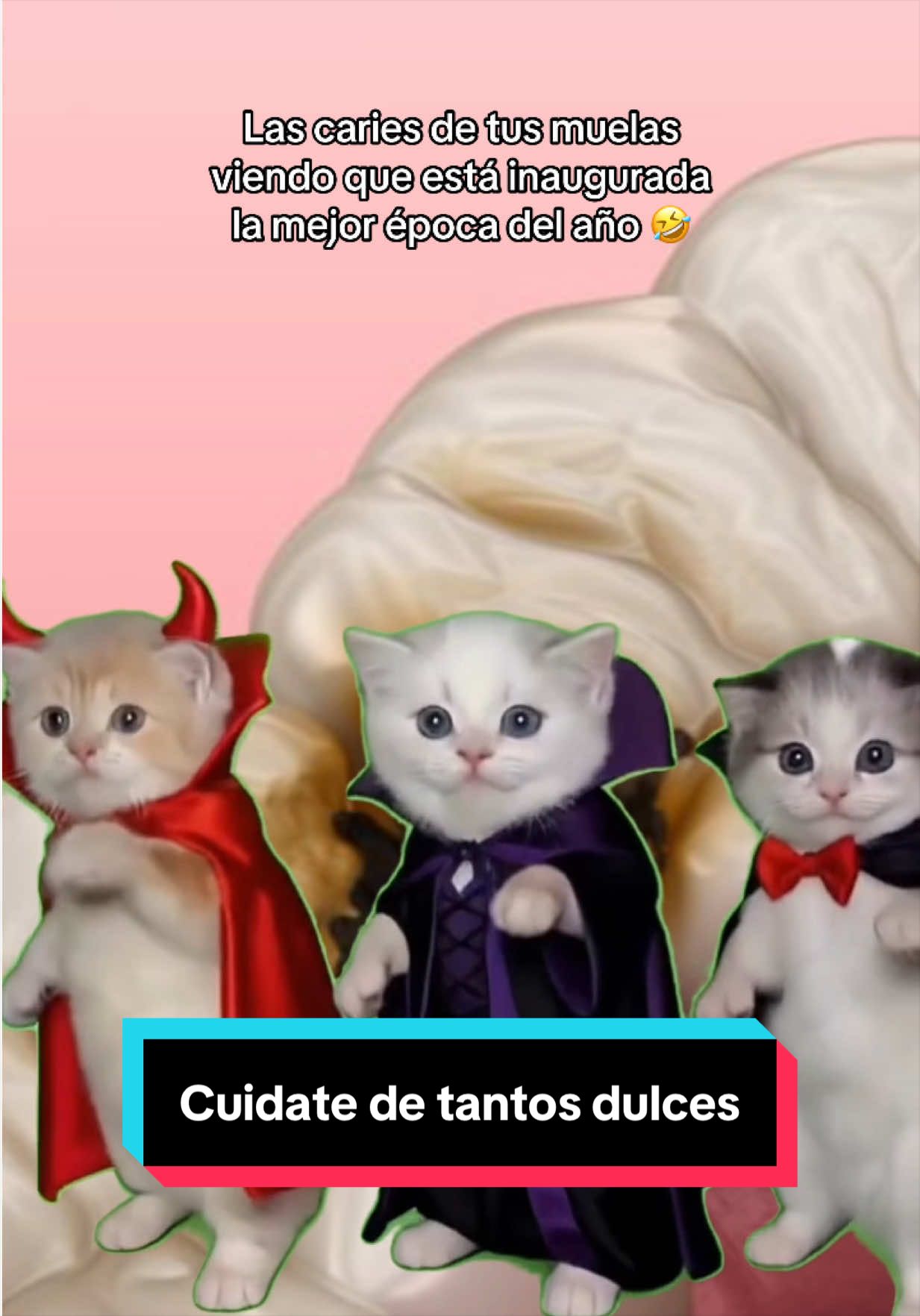 @Clínica Dental Sonrident