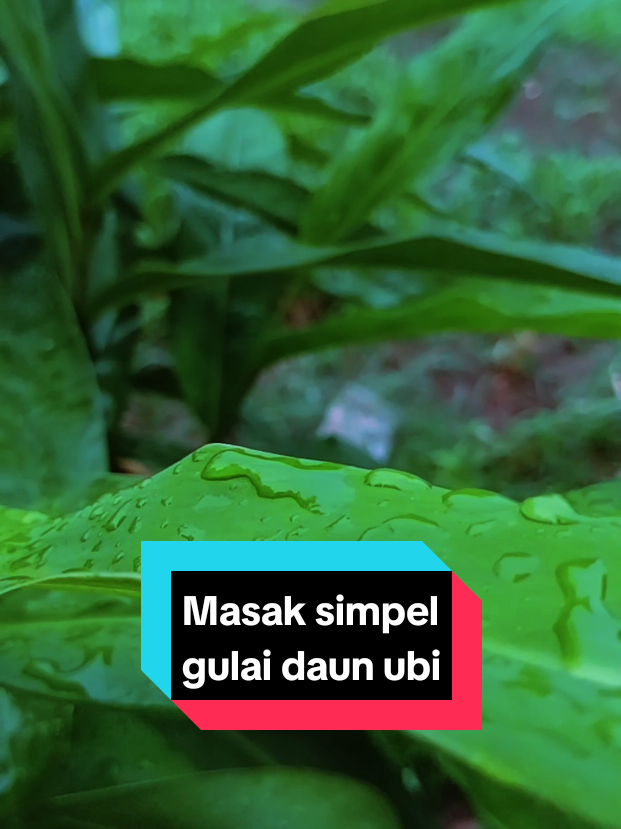 @putrii