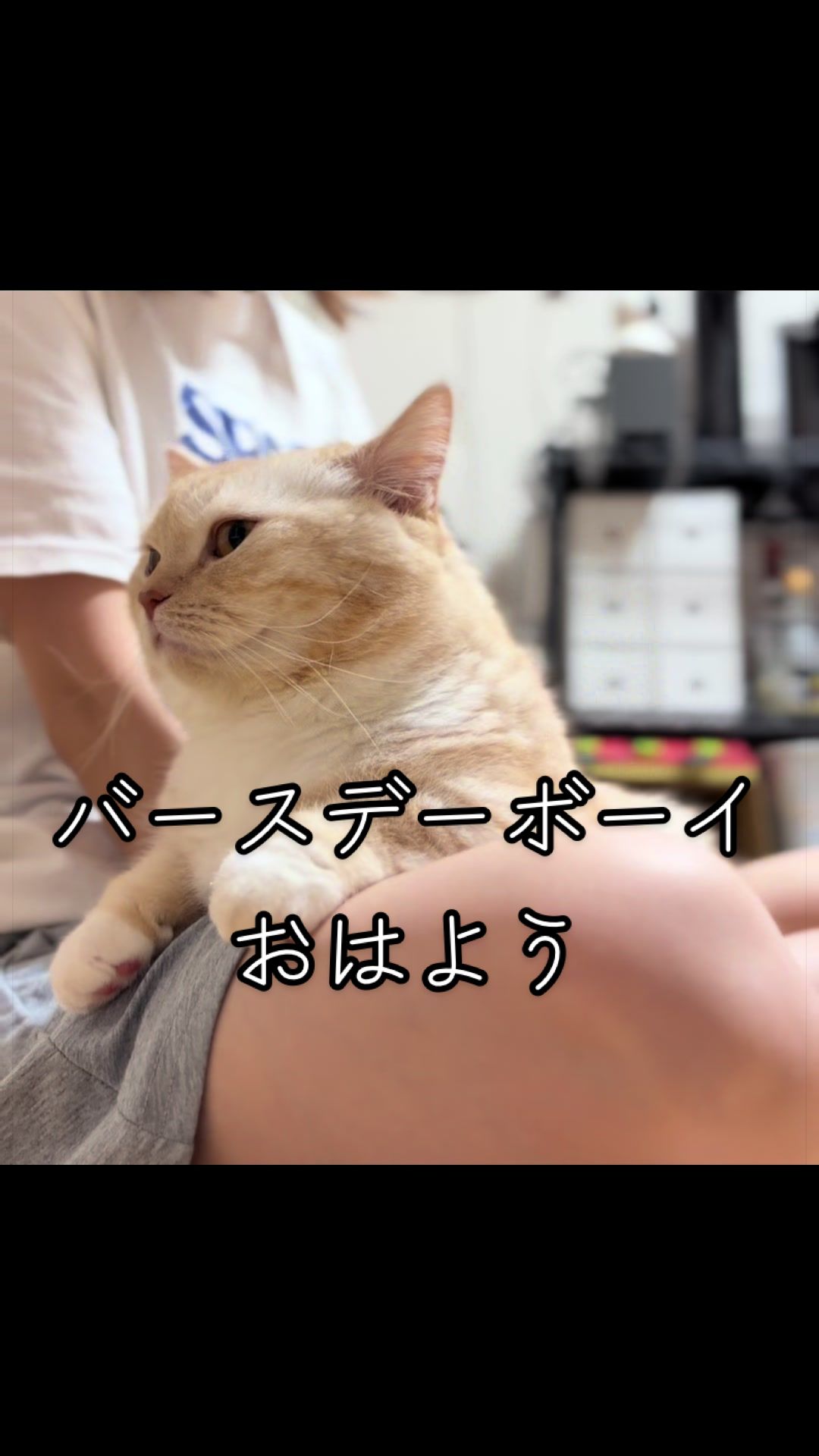 @縫くんと私