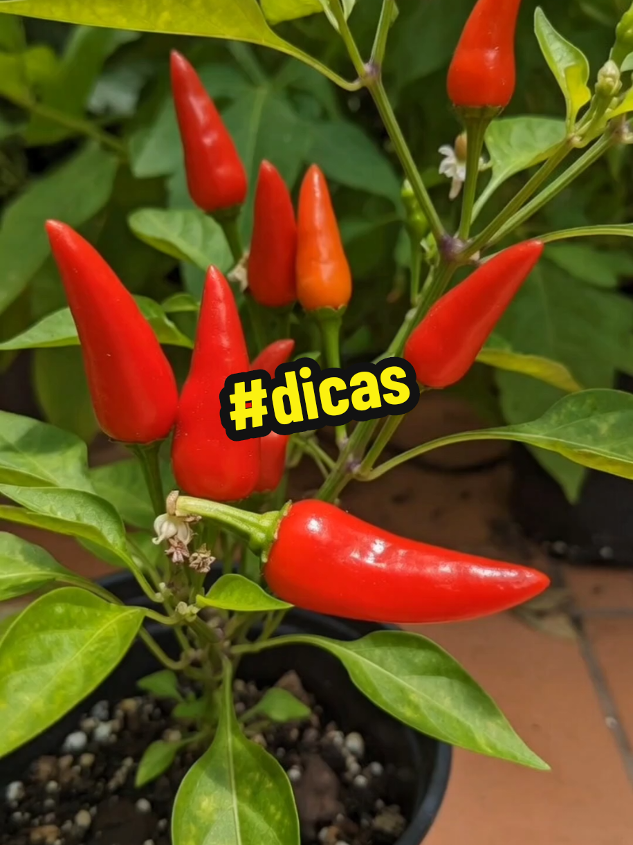 @natureza e saúde