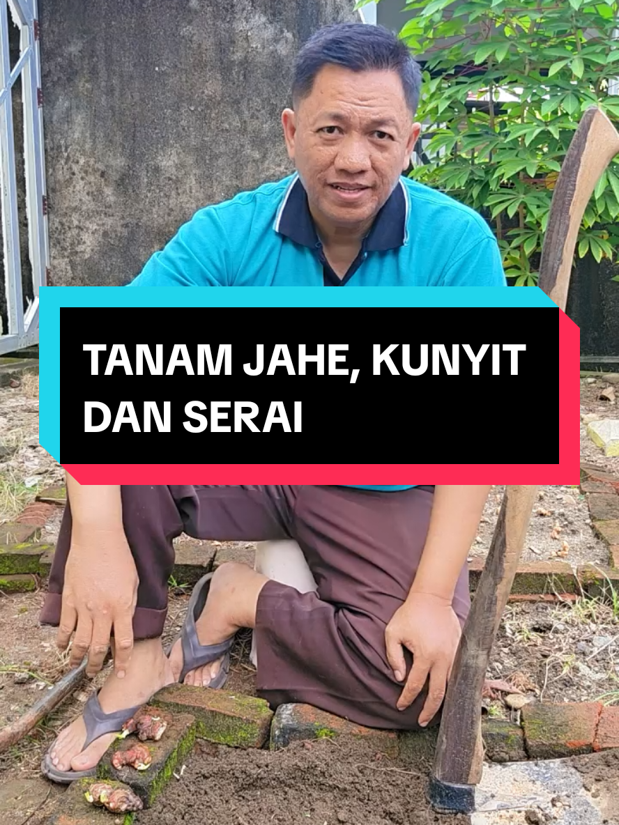 @Mr JARNAWI