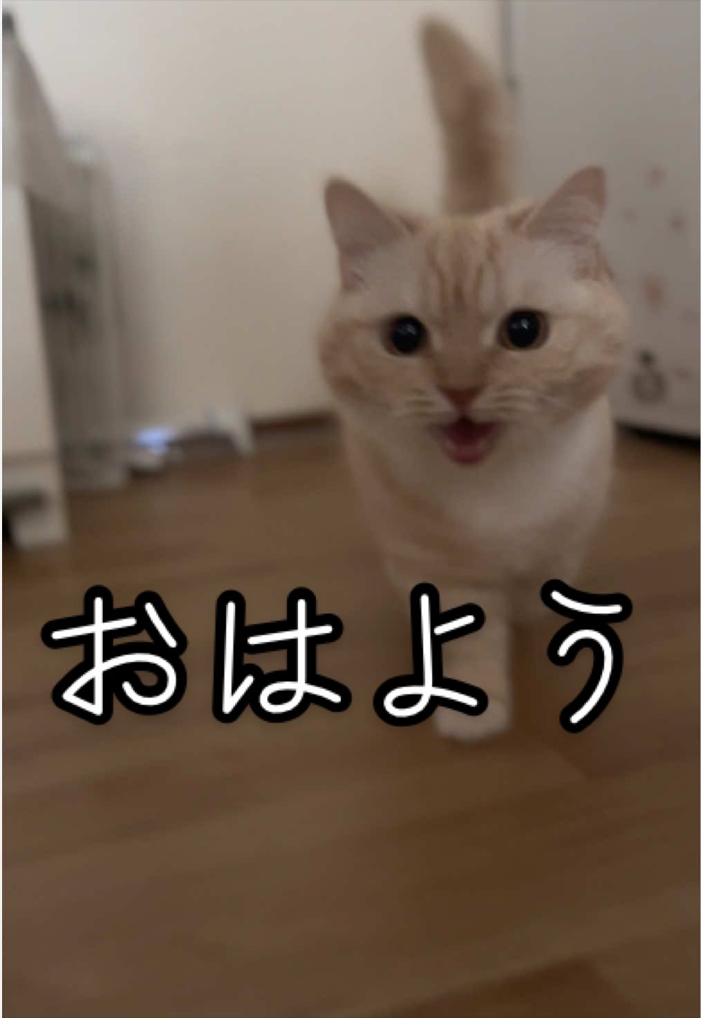@縫くんと私