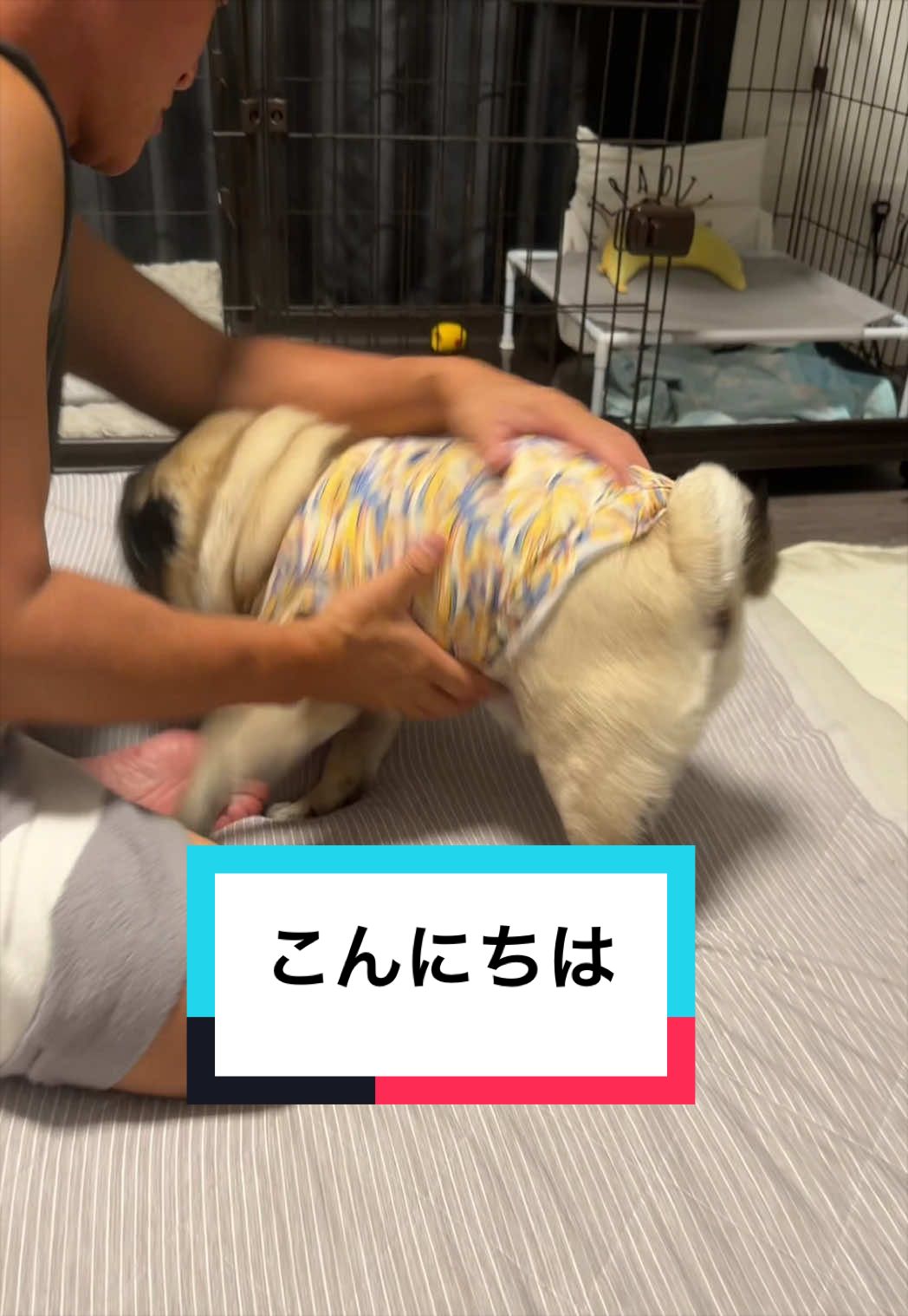 @9/28🎂おじ生誕祭🐶とん&ぺっぺこぺー🦊
