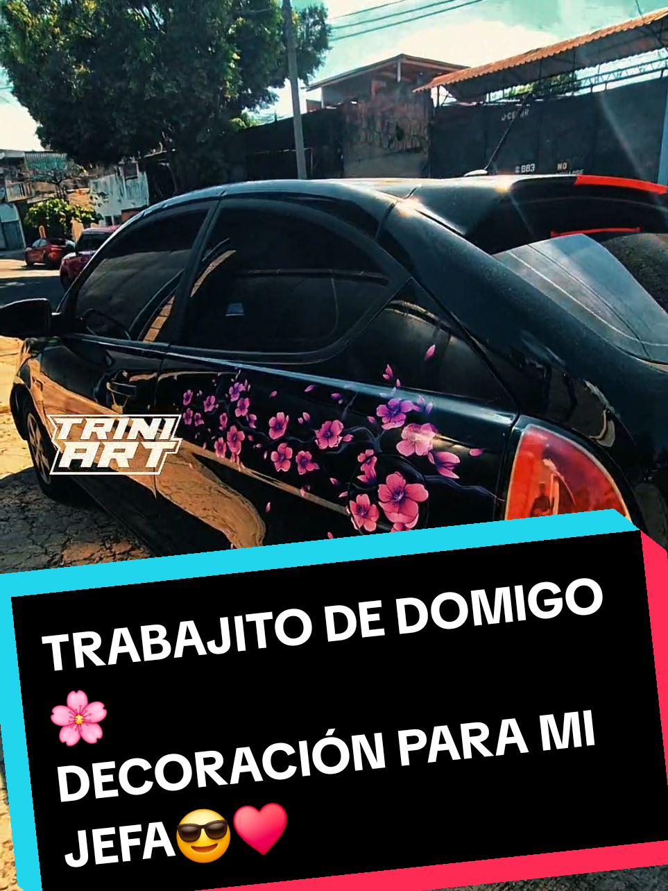@Trini Art SV