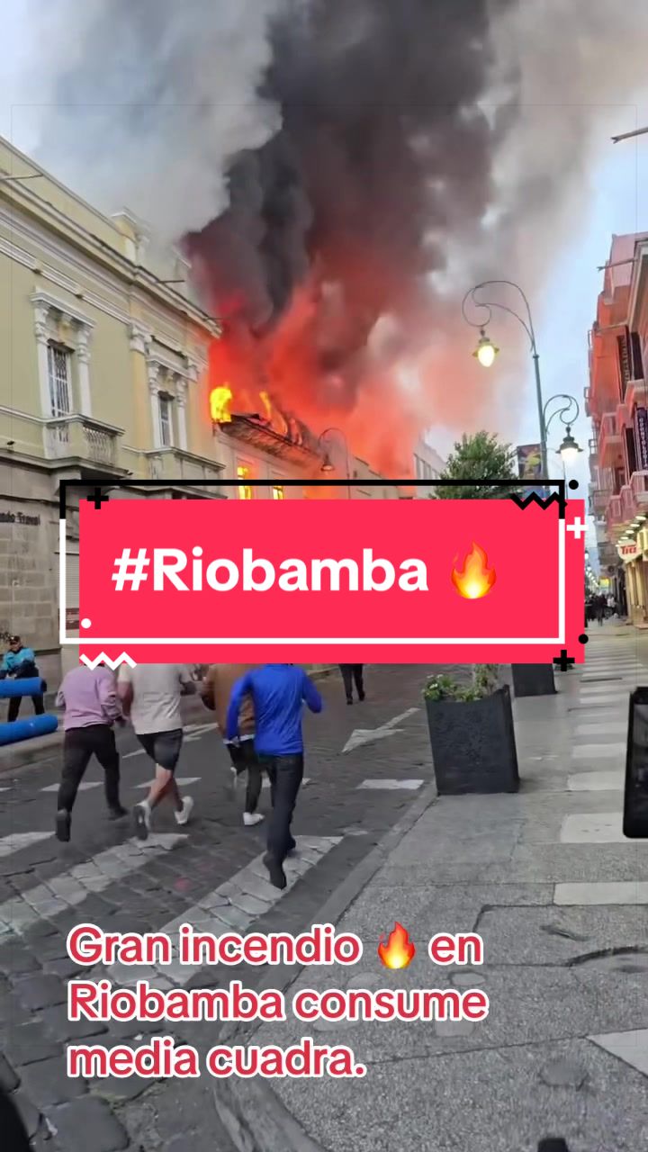 @intirubens