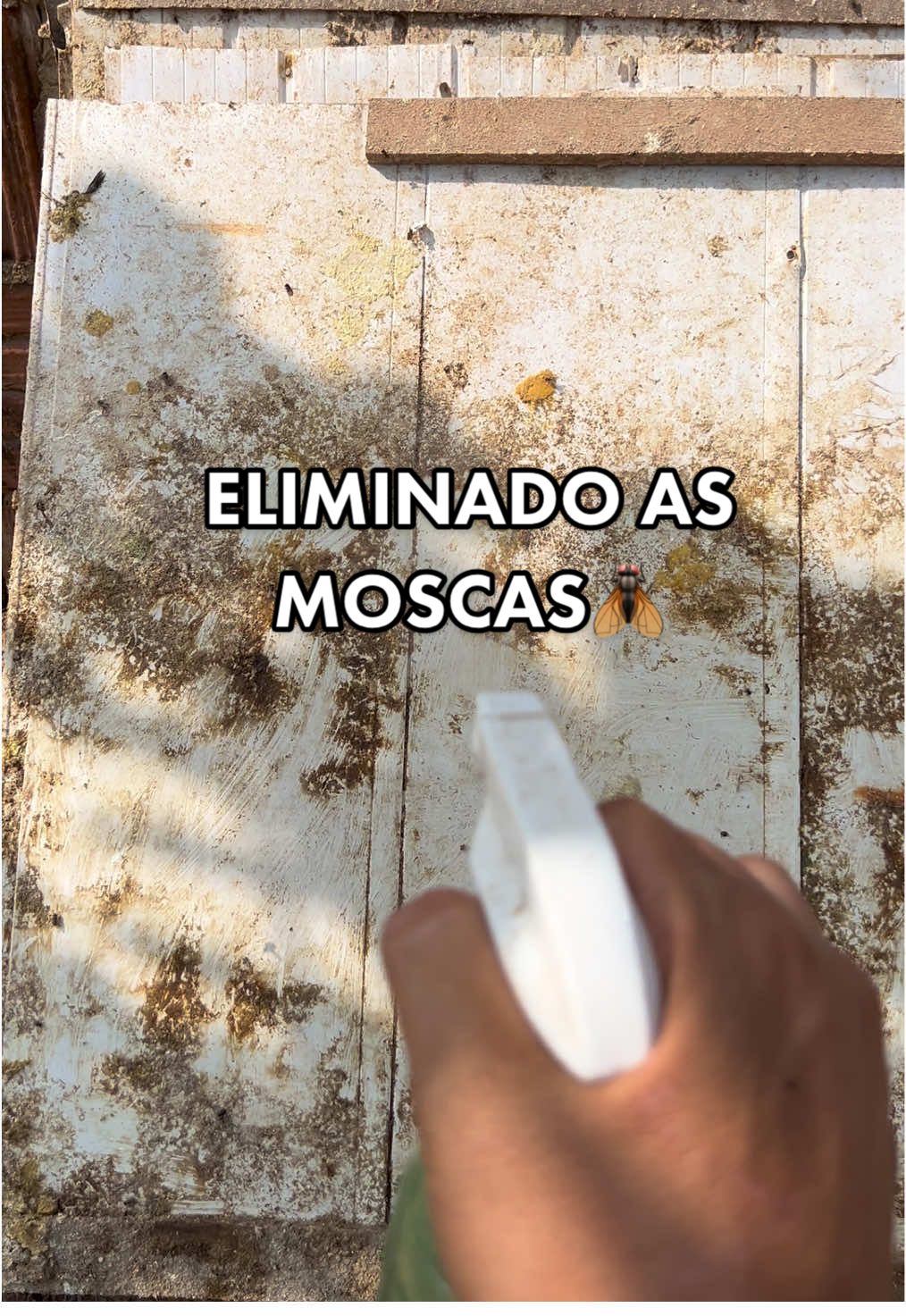 @souza