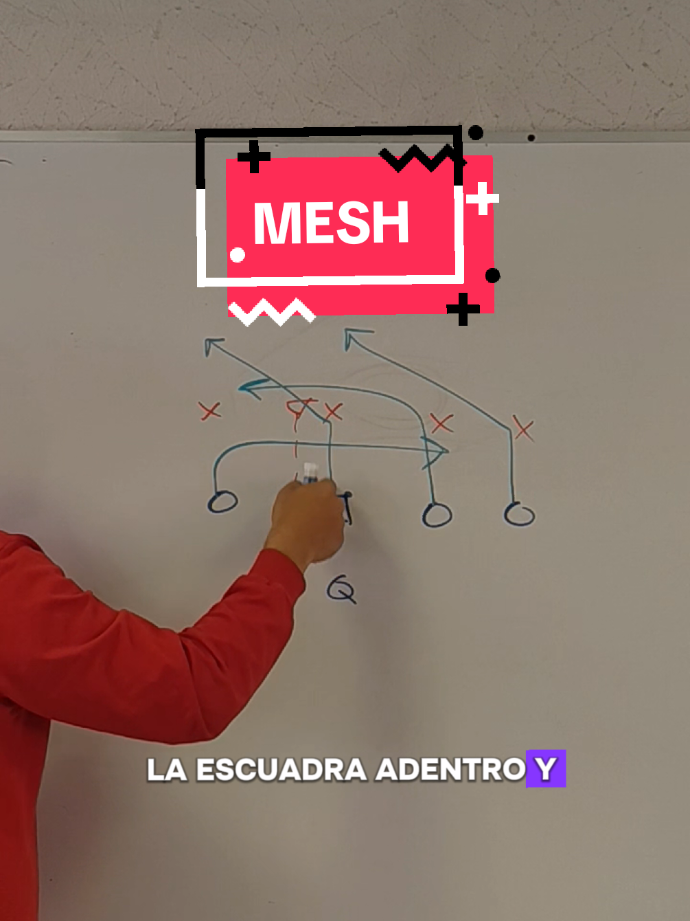 @Eduardo L. Guízar