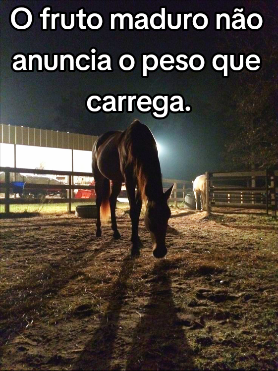 @Raiz da Roça Oficial