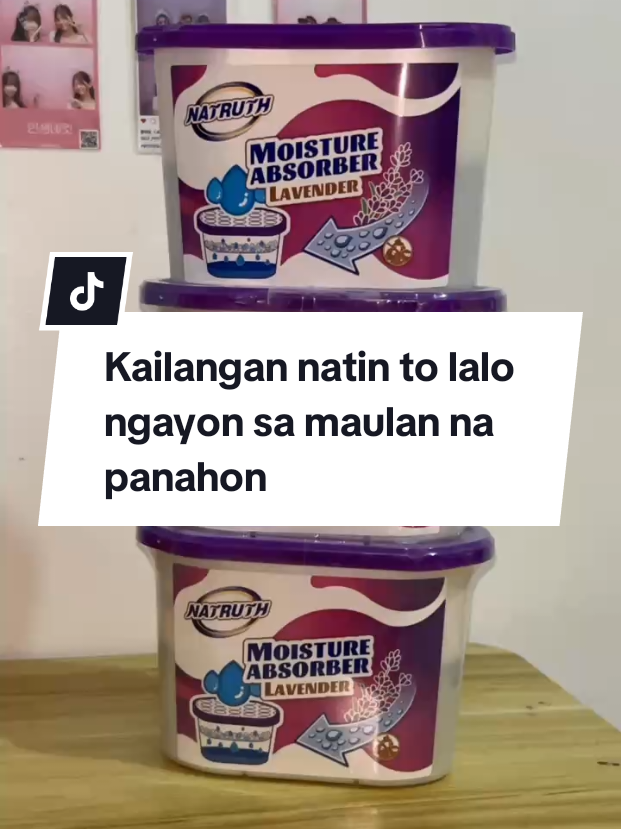 @inday alicia
