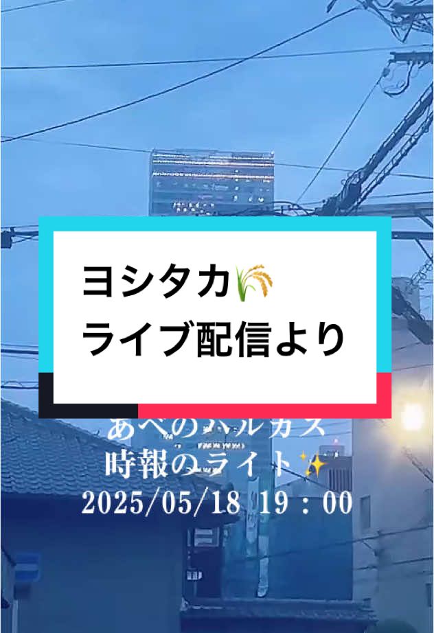 @ヨシタカ🌾