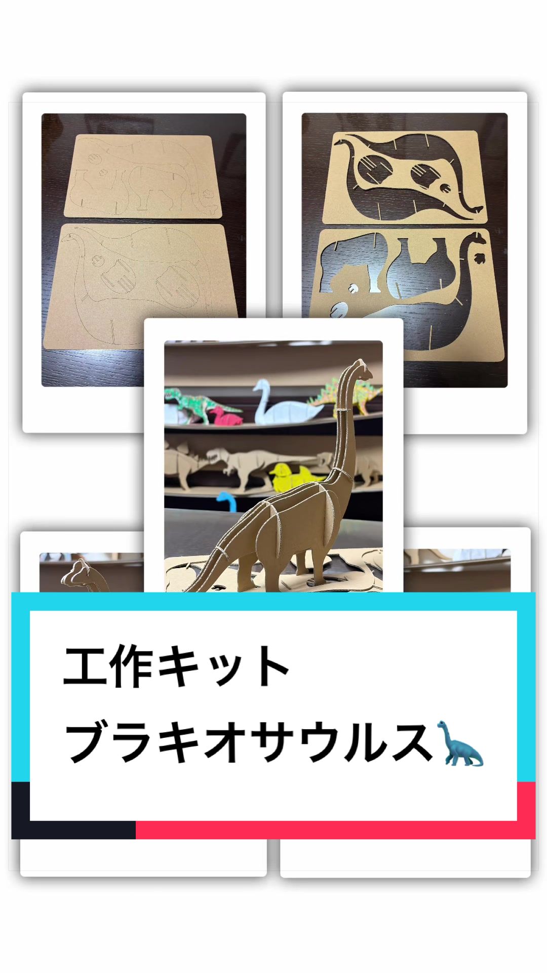 @ダンボール王子🌏♾️🐦&zwj;🔥