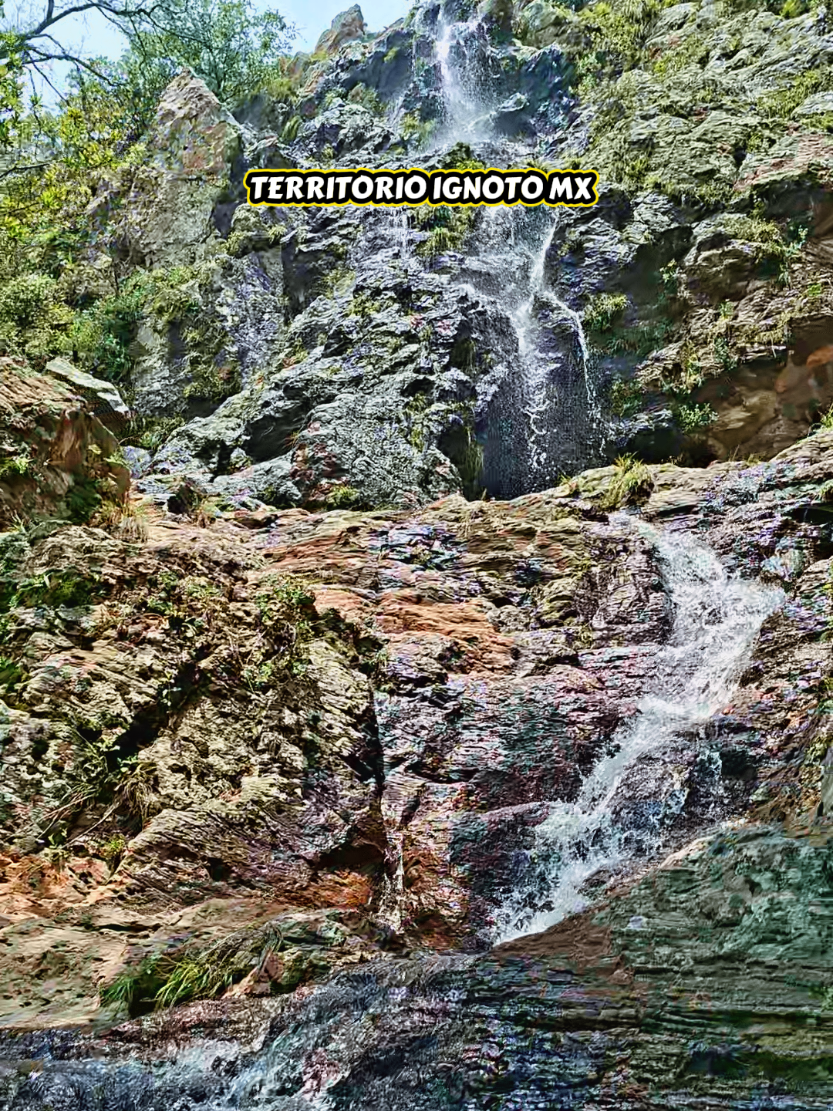 @TERRITORIO IGNOTO MX 🇲🇽