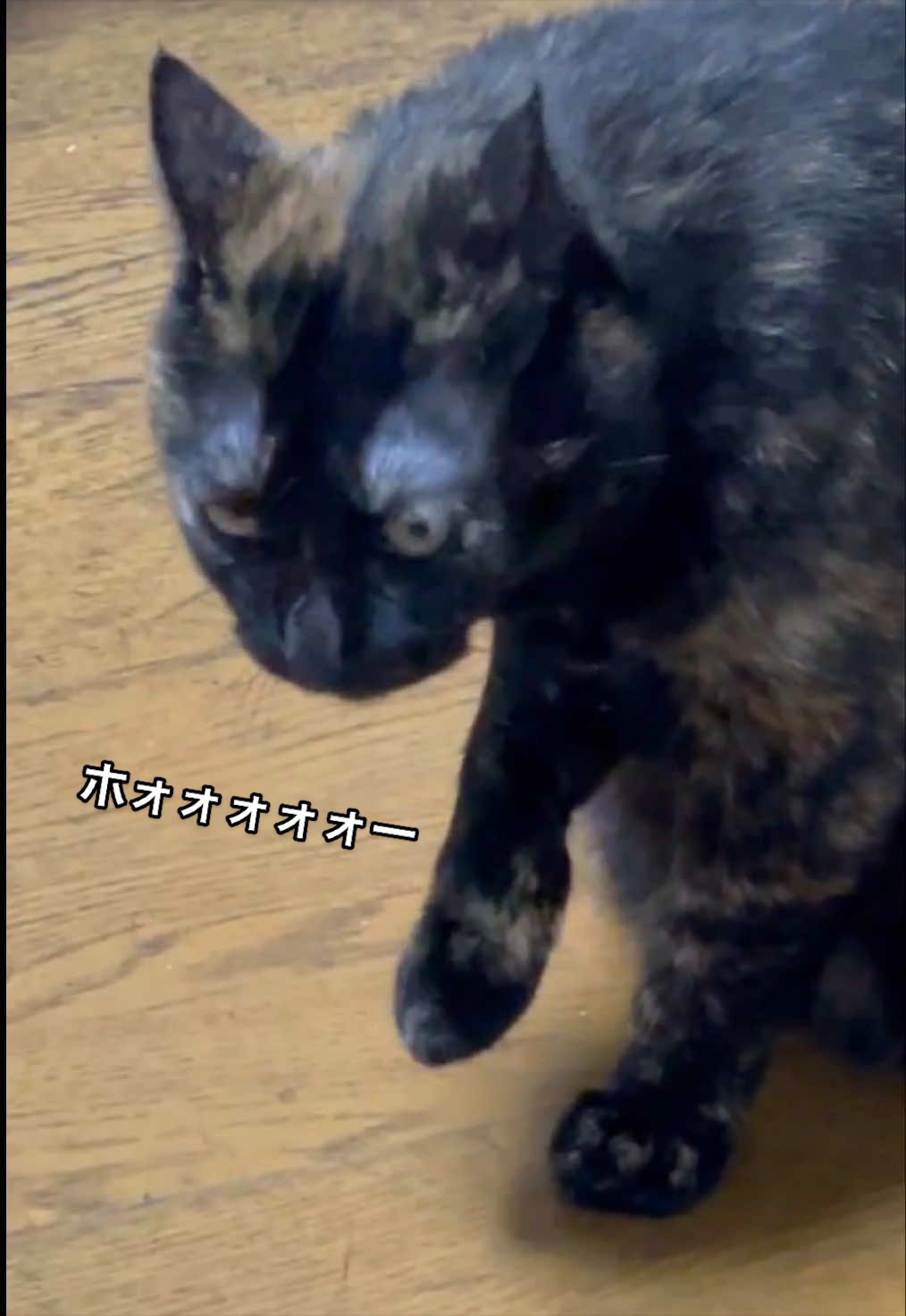 @聴々物語PROJECT