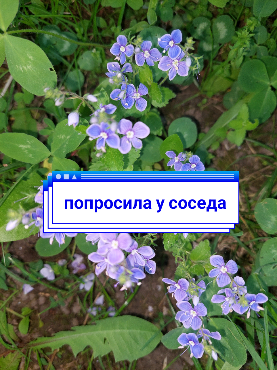 @Рыся✔️🇧🇾