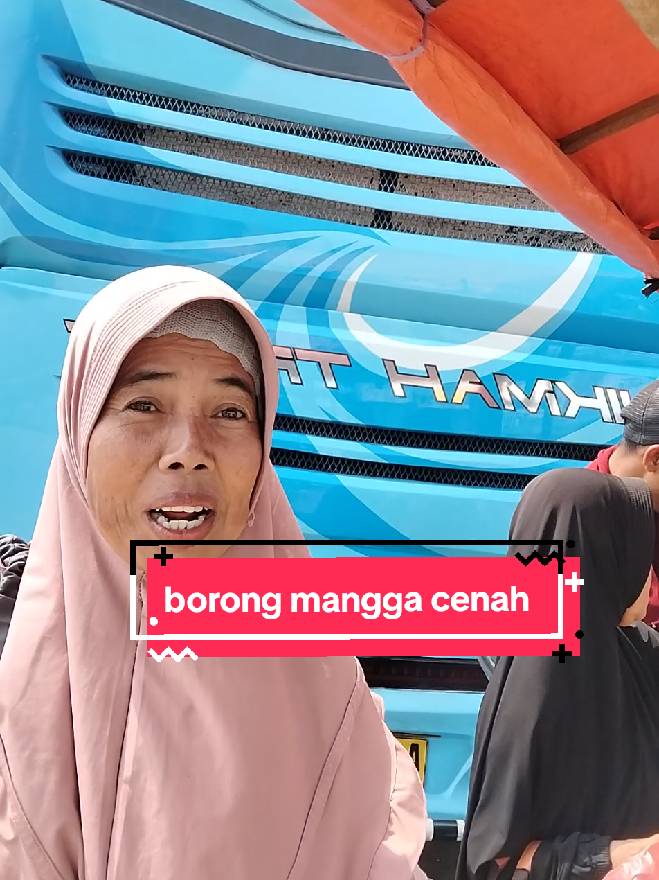 @Qy Domblang