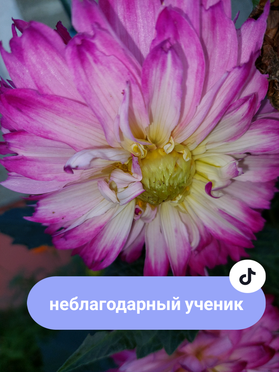 @Рыся✔️🇧🇾