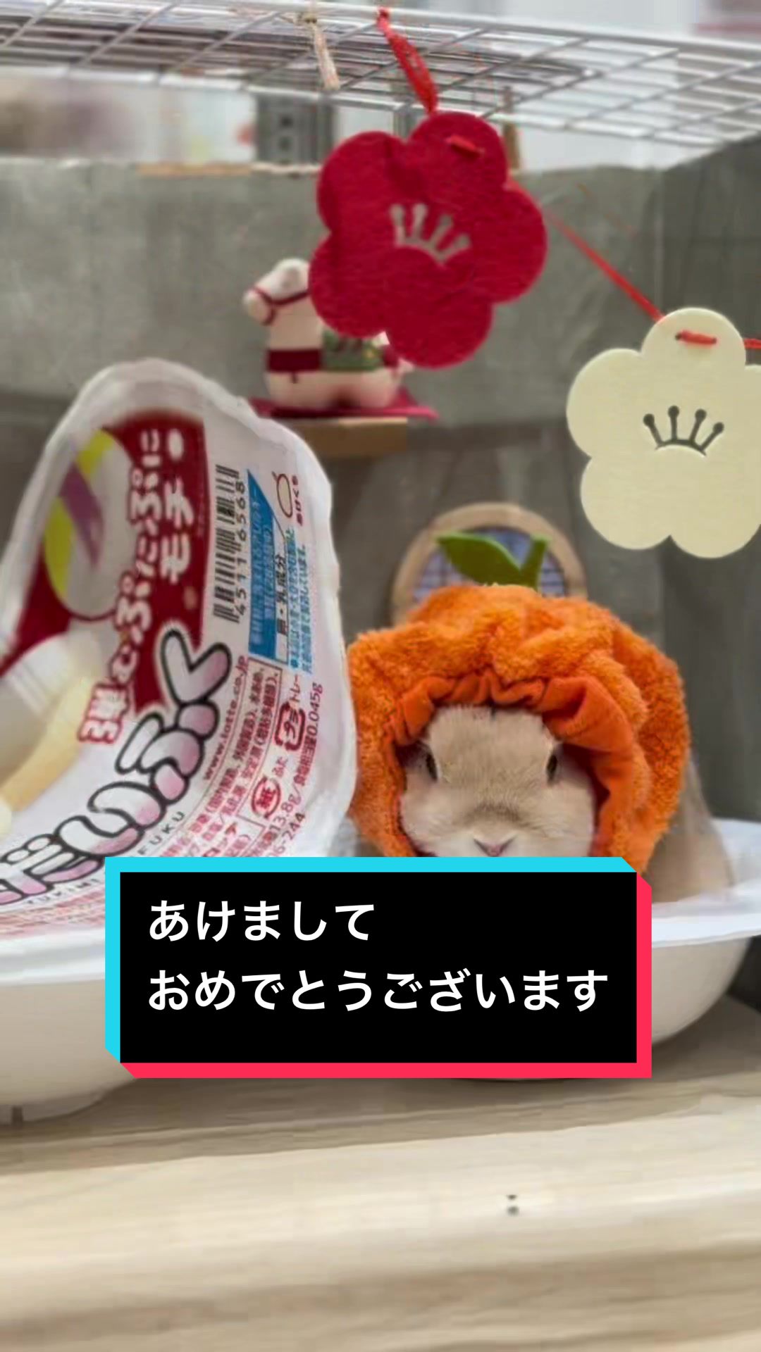 @うさぎのもちまる