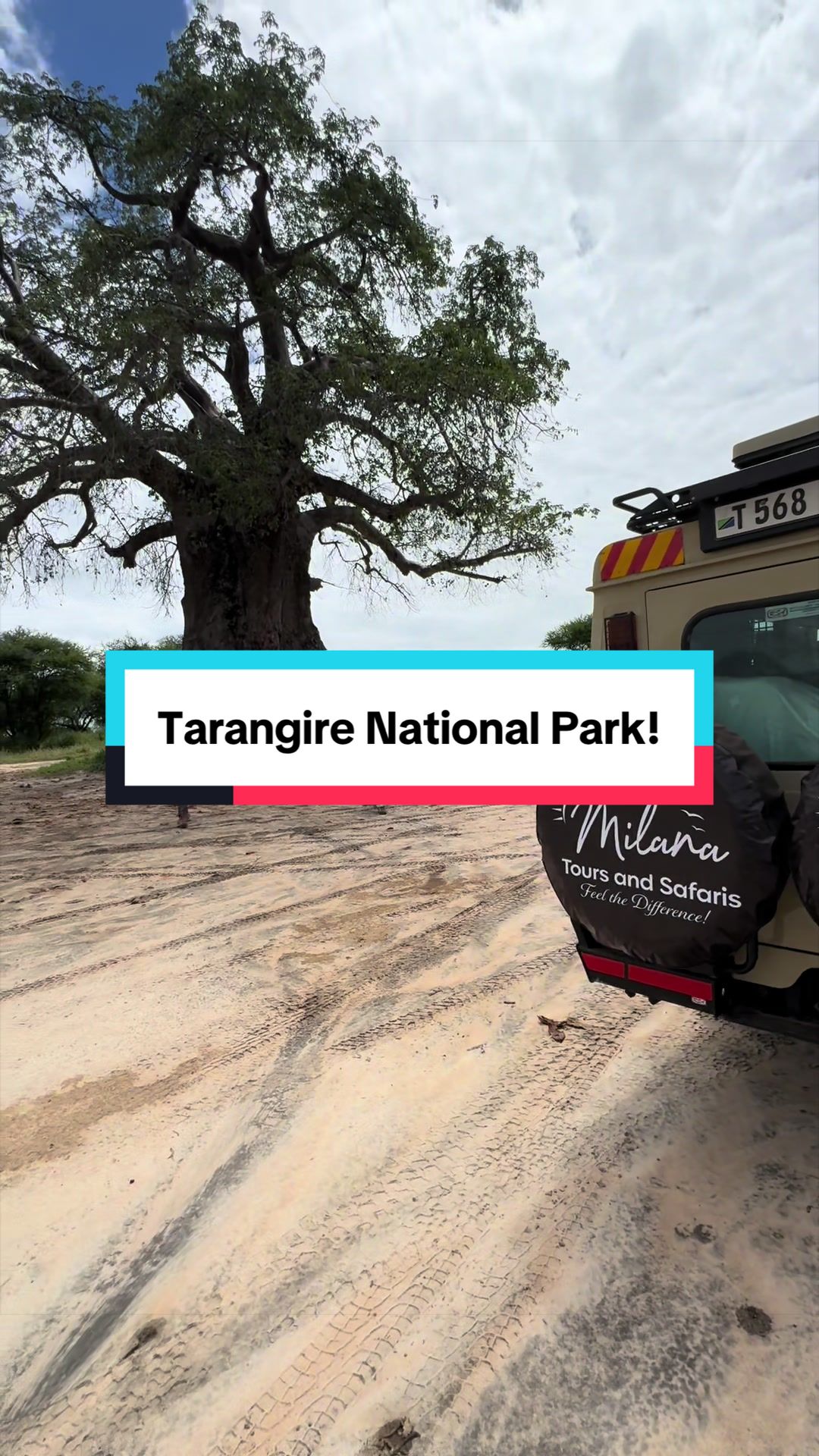 @Milana Tours and Safaris