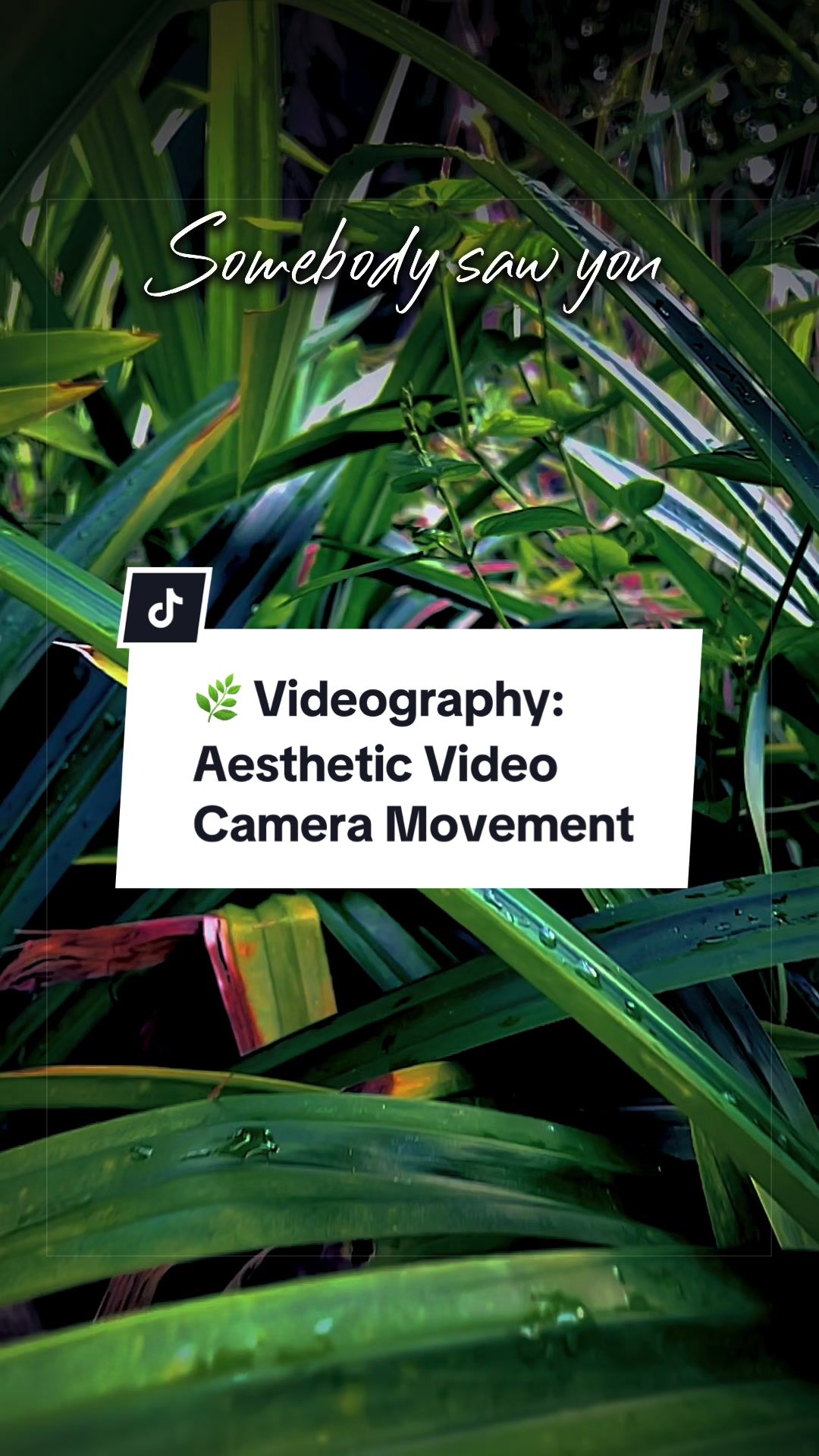 @Muhammad | Videographer