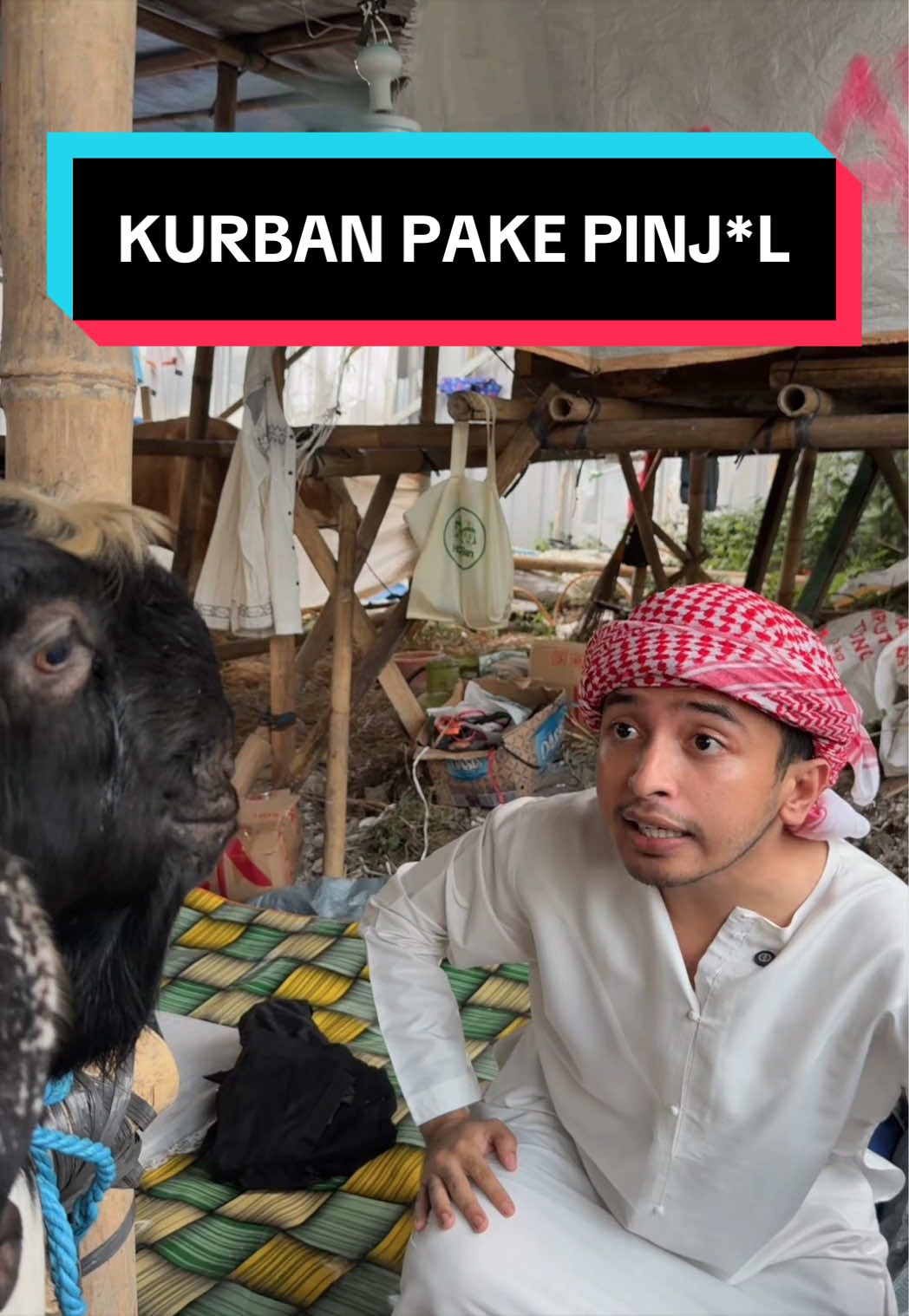 @Ali Habsyi 👳🏻&zwj;♂️👌🏼