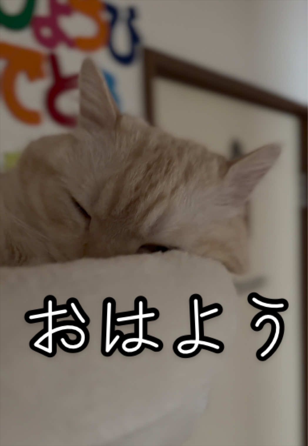 @縫くんと私