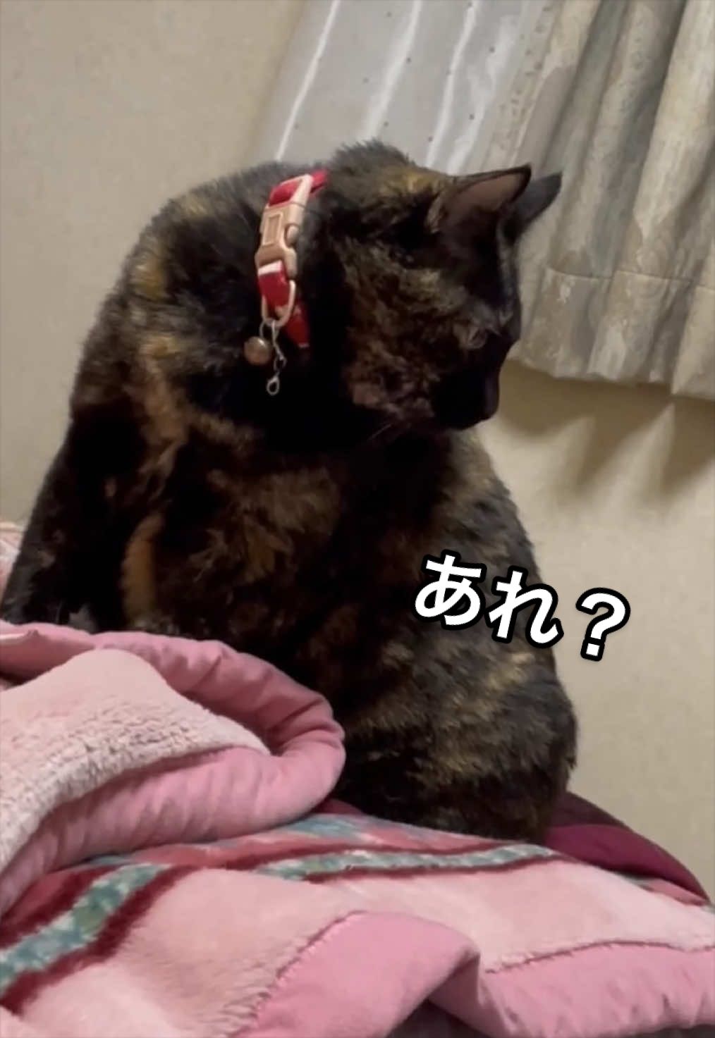 @聴々物語PROJECT
