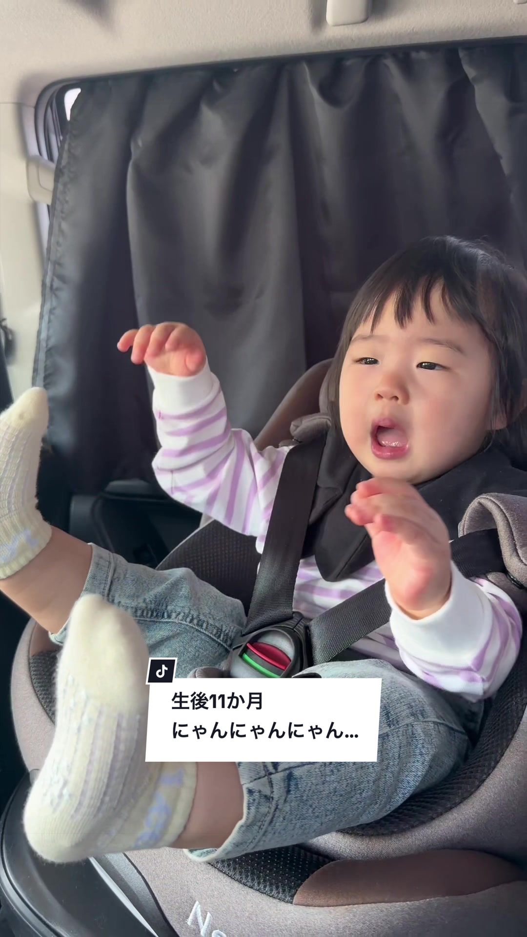 @TAO’s Slow Life