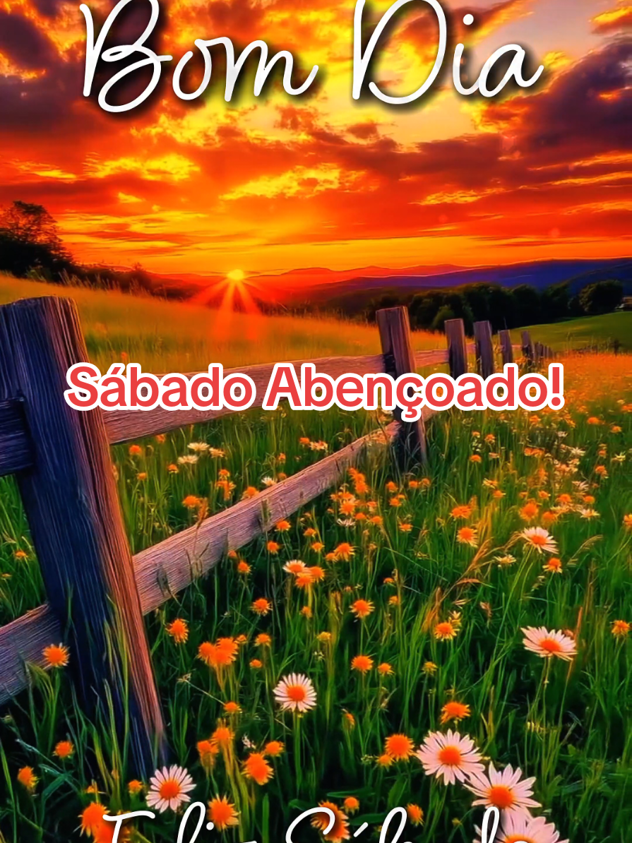 @César A. A. Santos