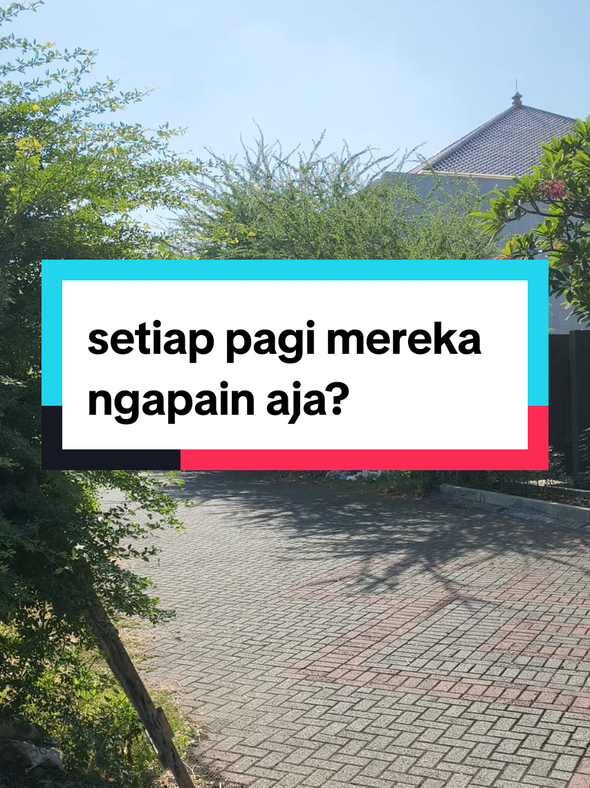 @ElimTorto