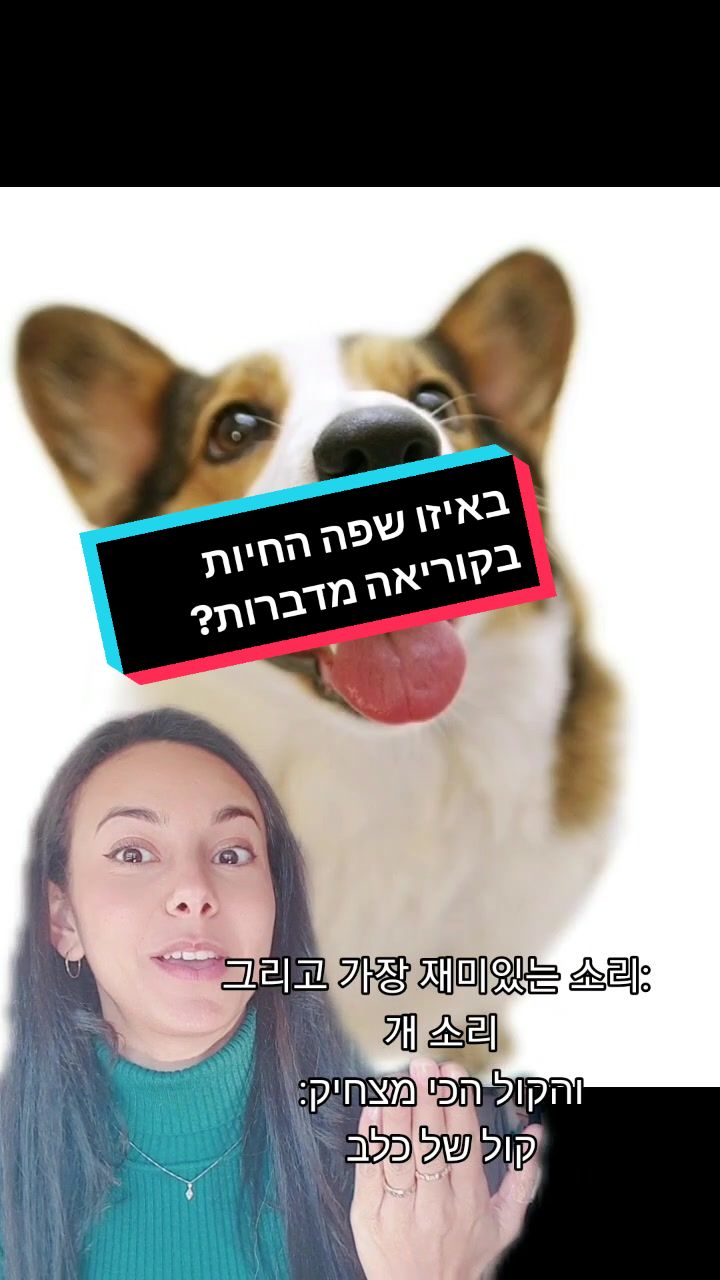 @HiLa 힐라