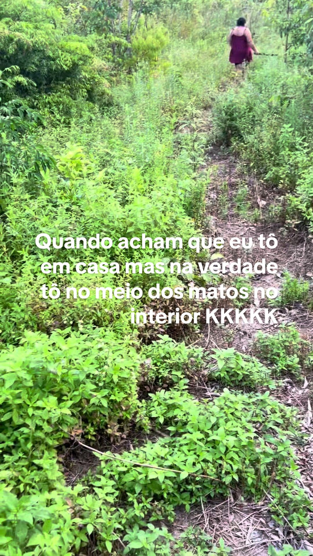 @Jessica lima