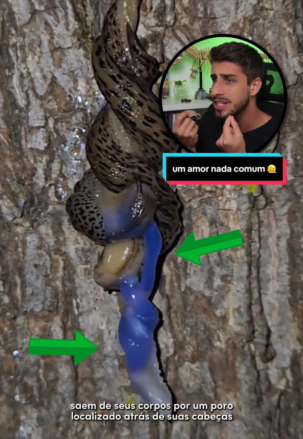 @Yago Stephano