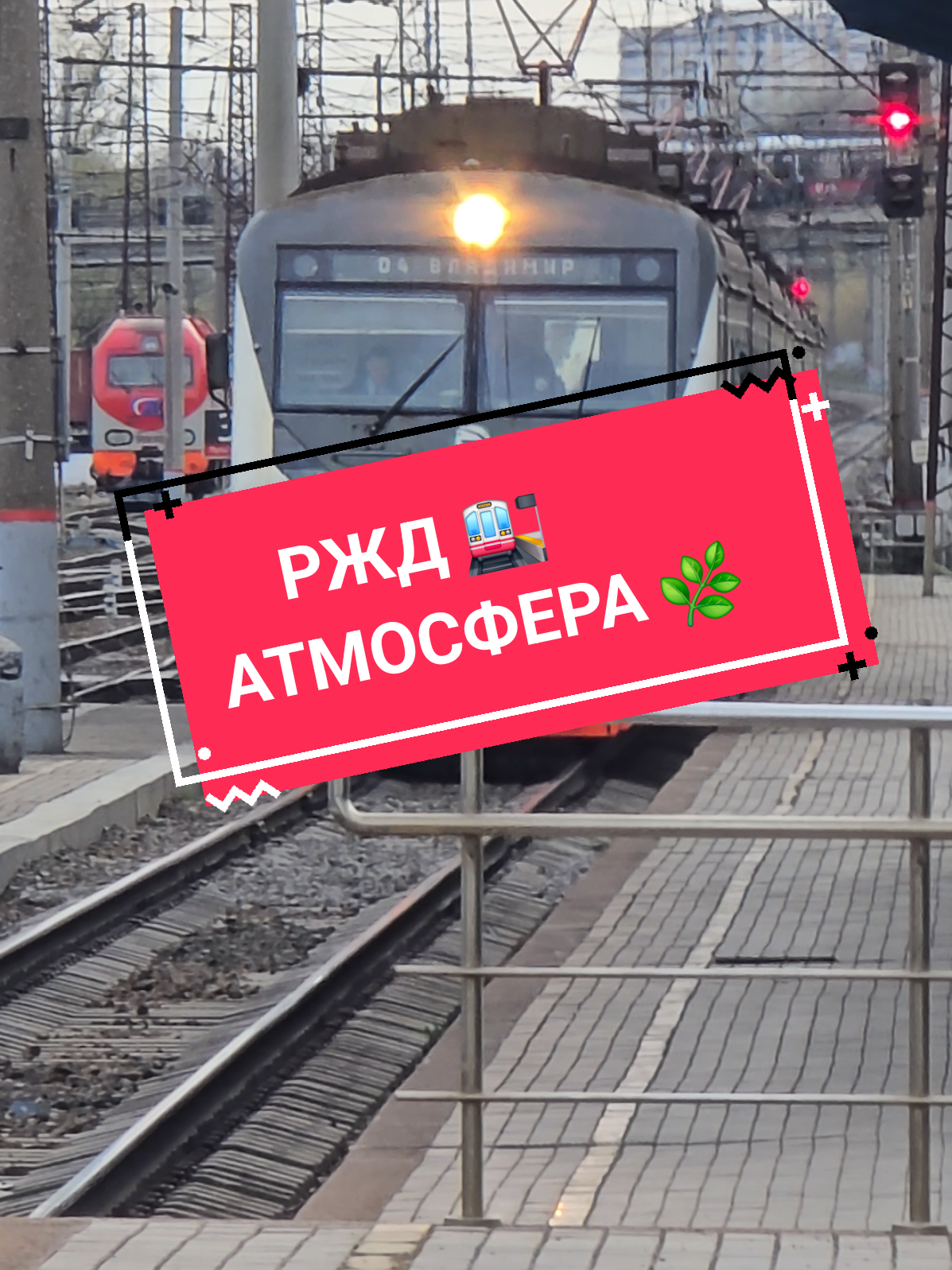@Дмитрий Шейкин