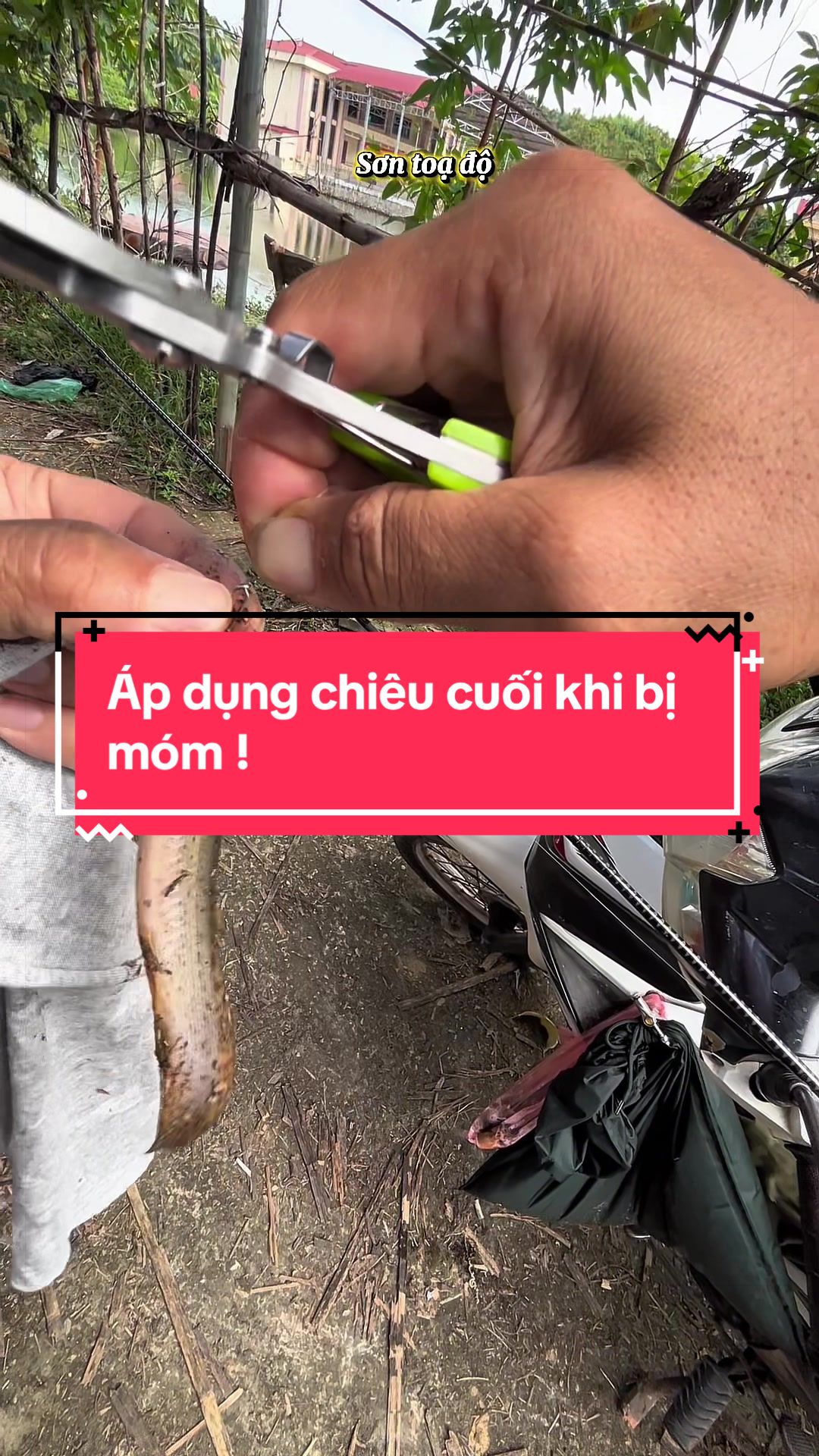 @Sơn toạ độ