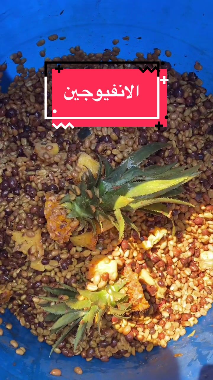 @تويتي / قهوة ☕️🐥