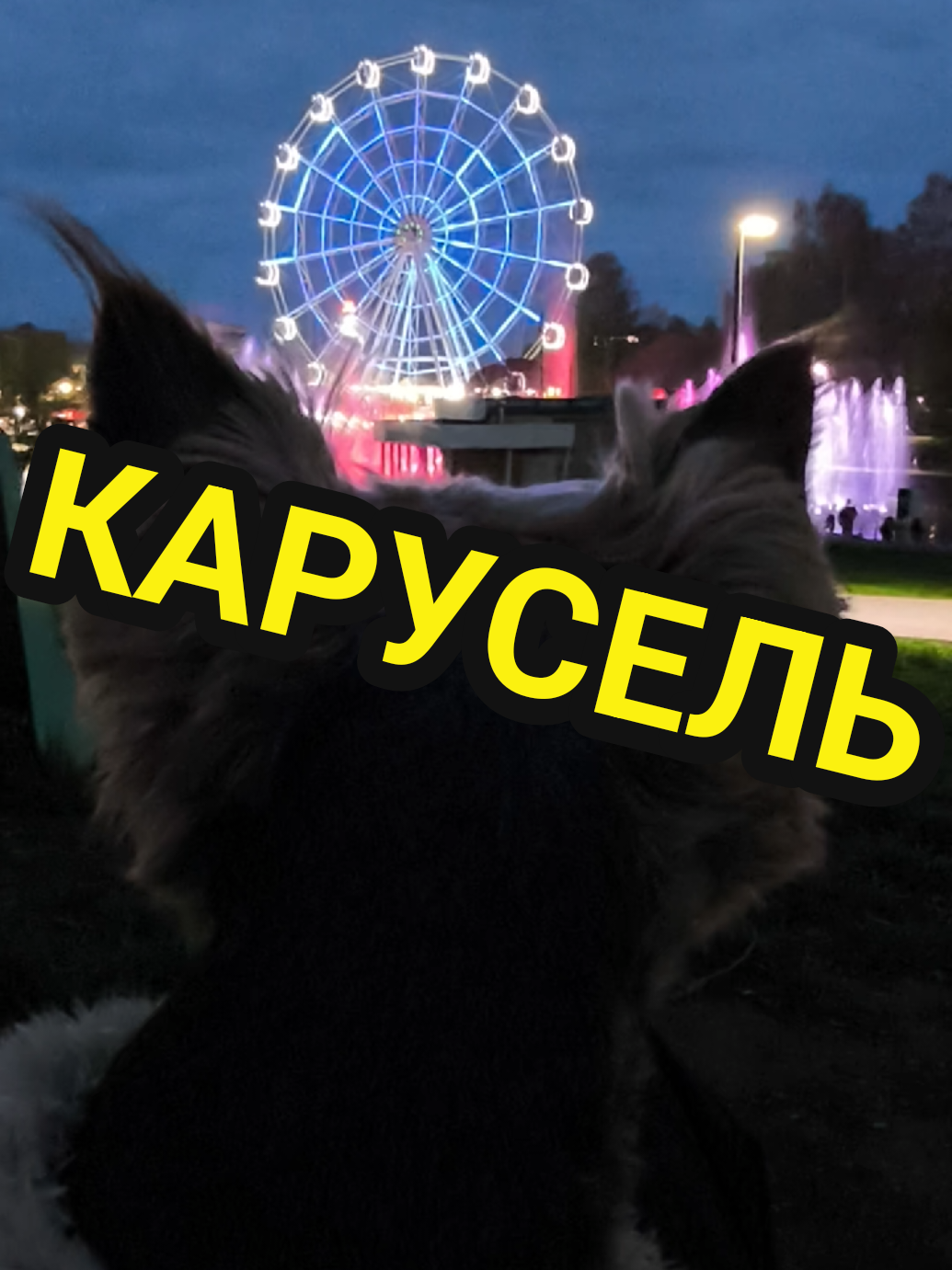 @🤟Веня Машаранский✌
