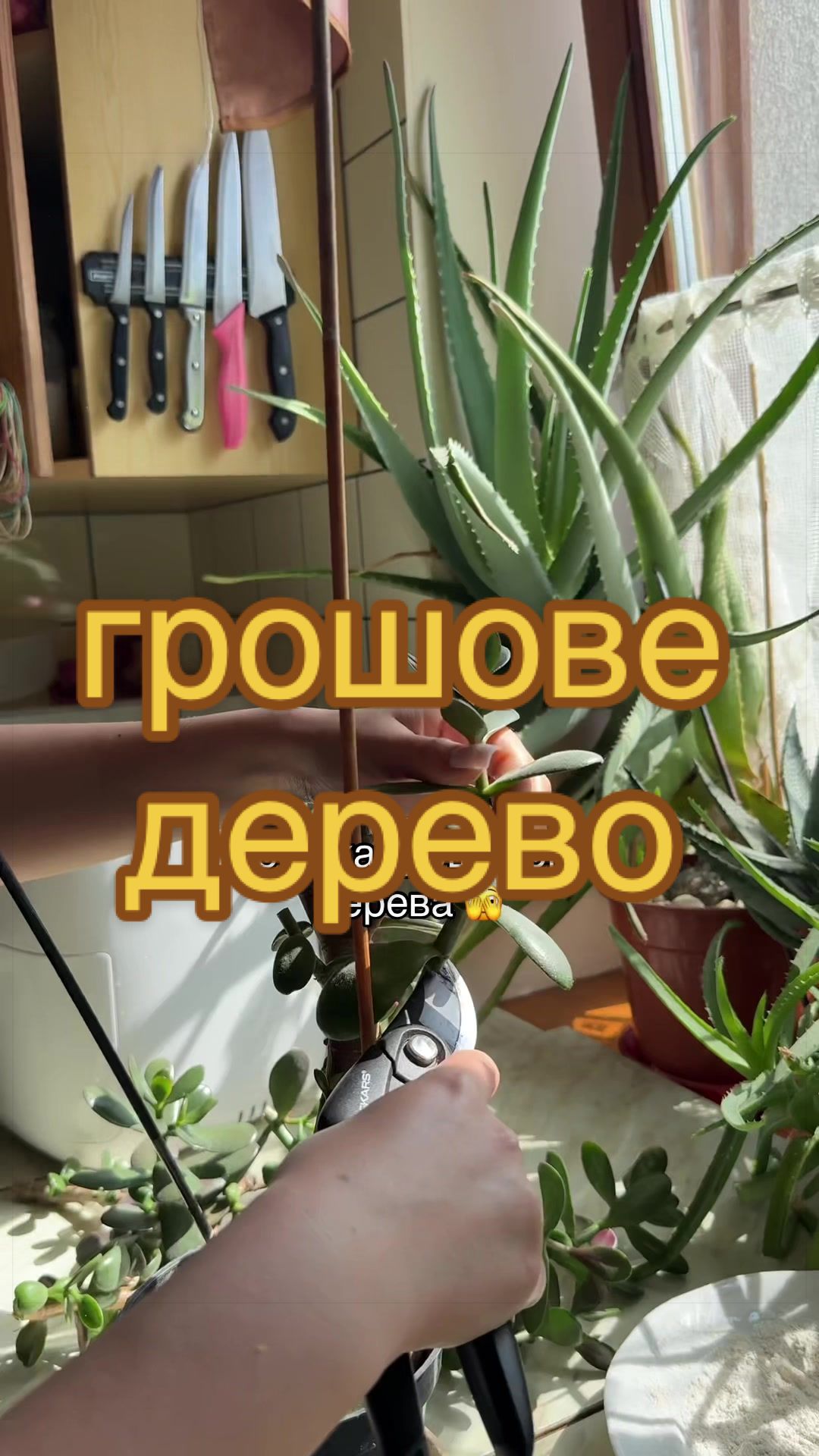 @🧚леся🧚