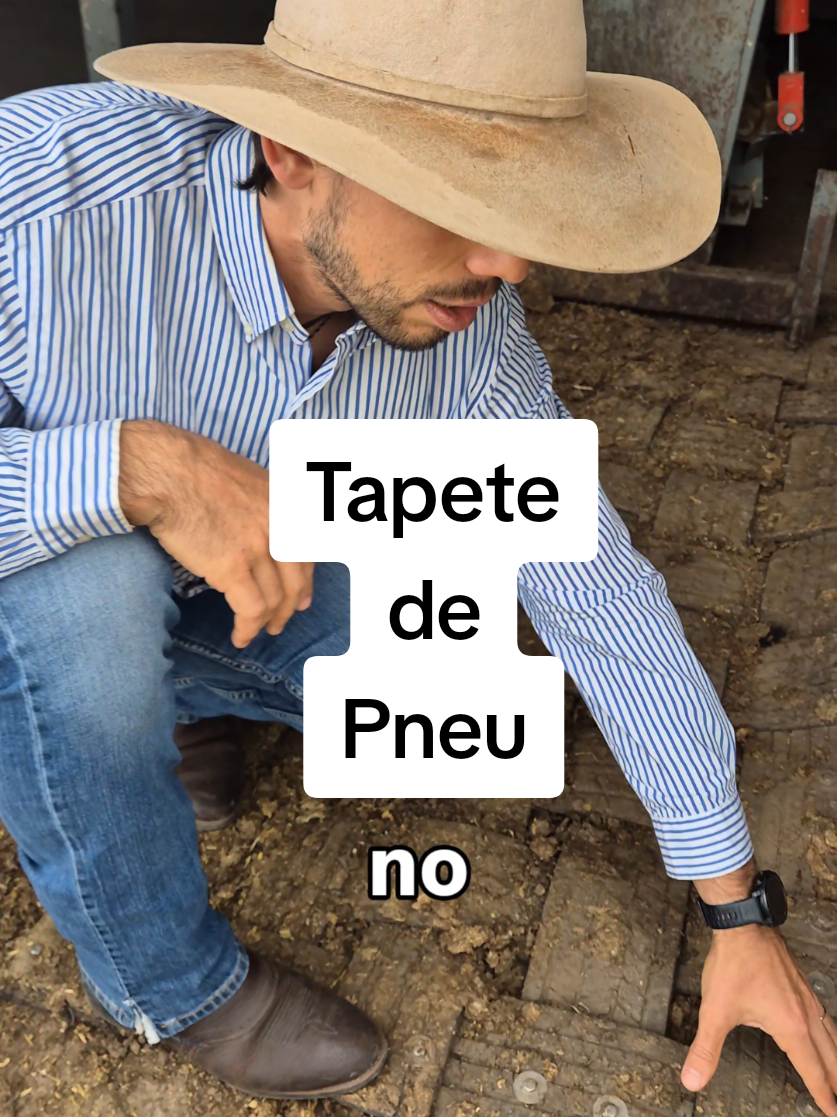 @Olavo Franco Bottino
