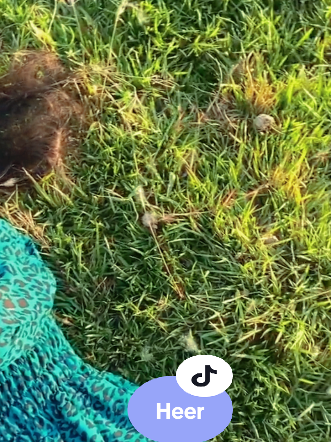 @ᥫ᭡𝑩𝒊𝒏𝒕-𝒆-𝑯𝒂𝒘𝒂 🦢