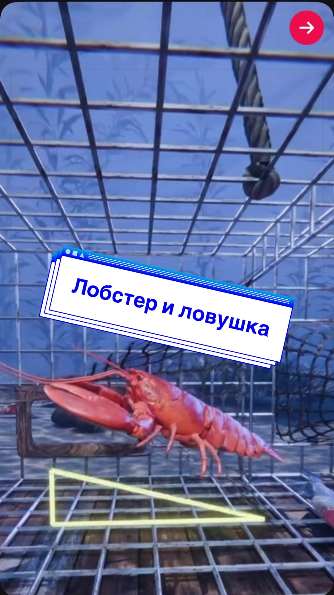 @Наука и Факты