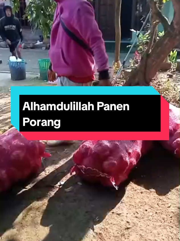 @mujijayaporang