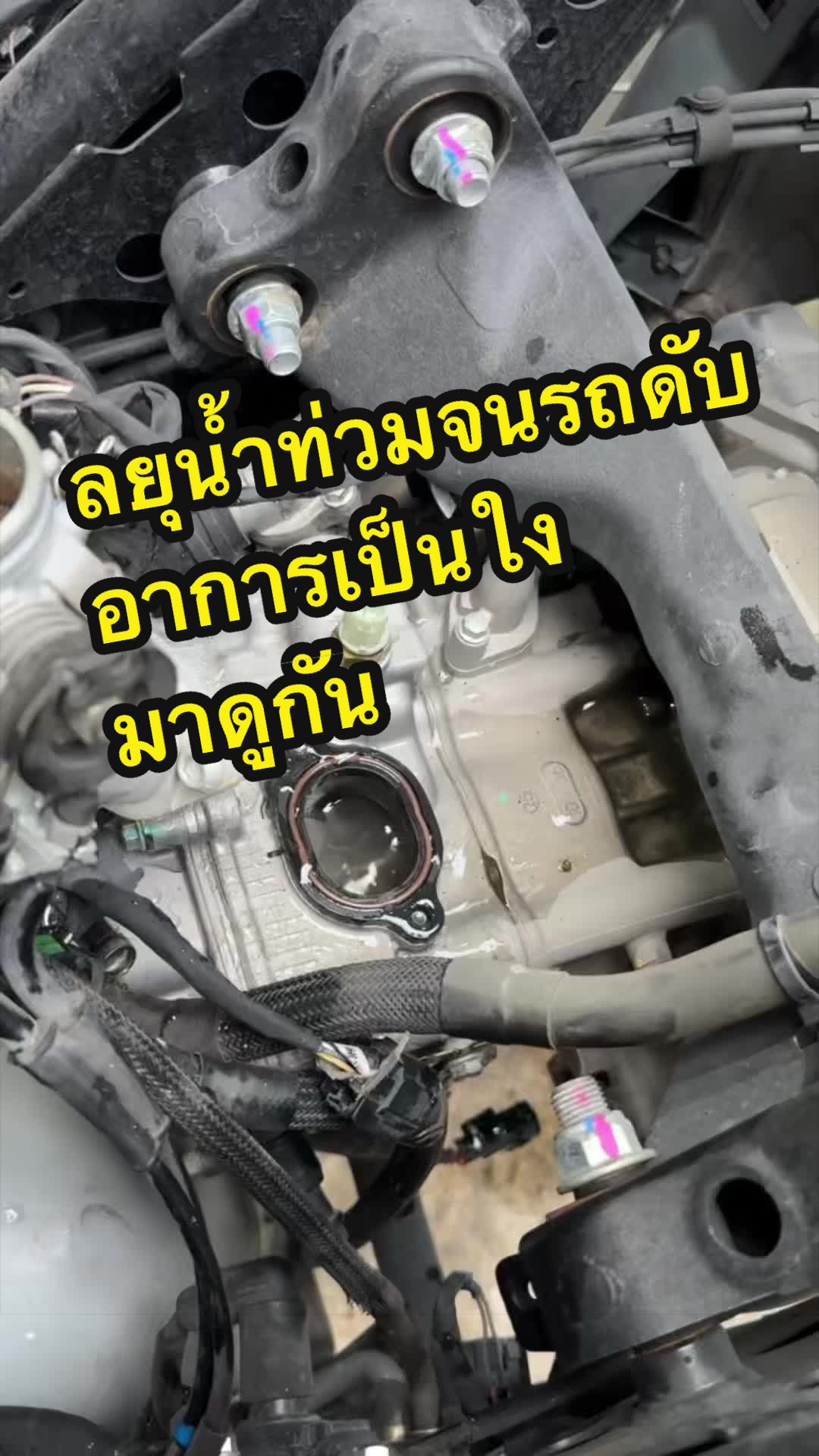 @โคตรวิ่งChannel