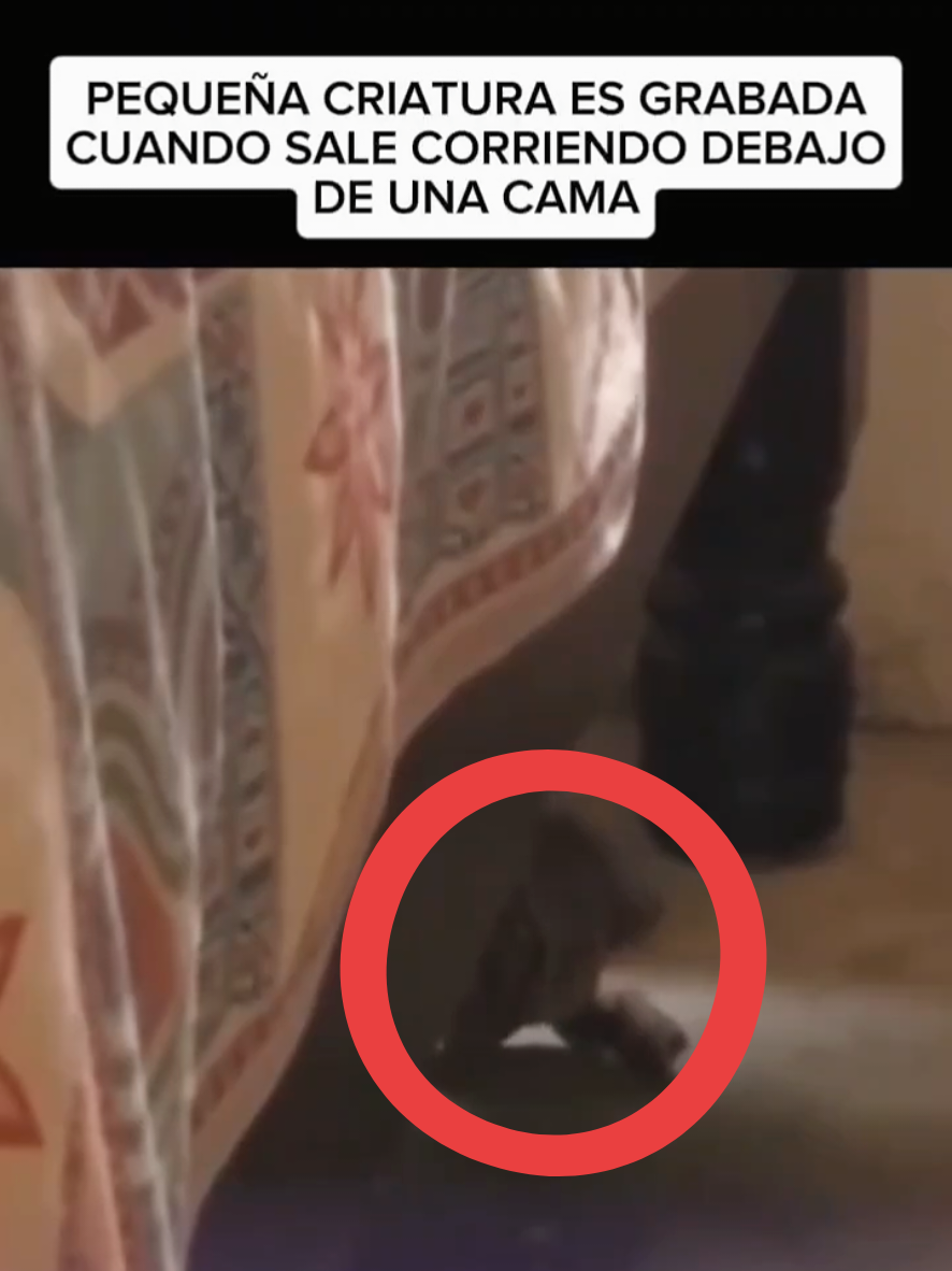 @KENCIVI