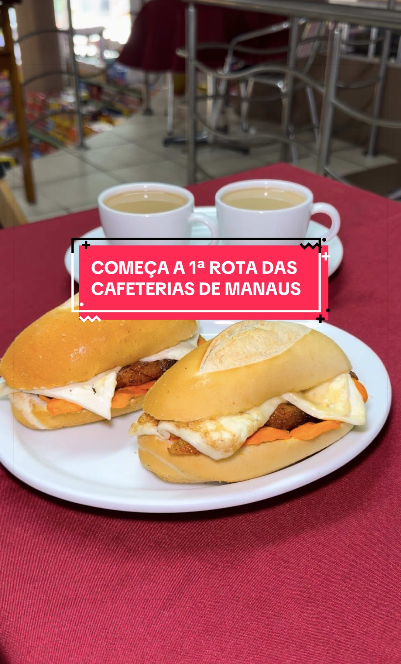 @O que fazer em Manaus?