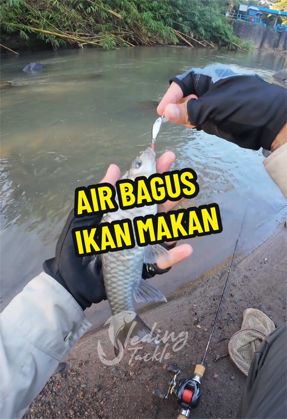 @Sleding Tackle