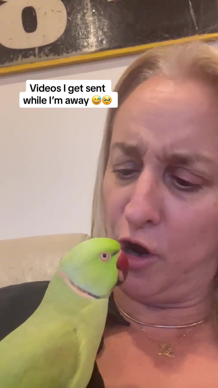 @millieandloki